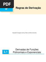 3.1 Derivadas de Funções Polinomiais e Exponenciais PDF