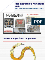 Extracción de Nemátodos de Suelo-GZM 2019