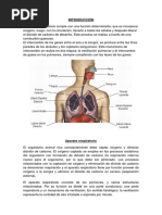 INTRODUCCIÓN El Sistema Respiratorio PDF