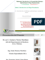 Diplomado Malezas 131110233203 Phpapp02 PDF