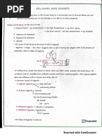 Pathology Prepladder CL