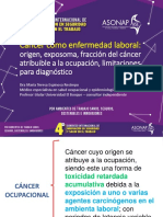 Cancer Ocupacional. Maria T Espinosa PDF