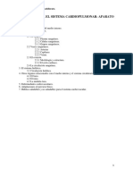 El Sistema Cardiopulmonar