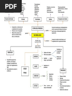 Mapa Mental Sem 3 Final