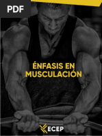 Guía - Musculación 1