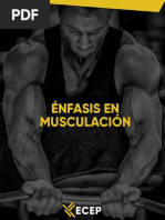 Guía - Musculación 3