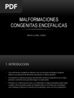 Malformaciones Congenitas Encefalicas