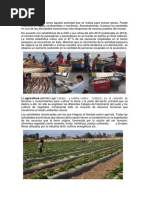 Actividades Economicas Huacho