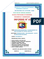 Segundo Informe de Topografia