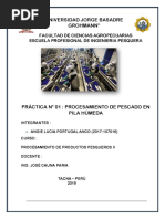 Práctica #01 Procesamiento de Pescado Salado en Pila Húmeda OFICIAL