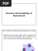 Structure and Morphology of Bacteria