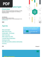 Enterprise Scaled Agile Overview