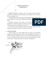 Laporan Pendahuluan Spondilitis TB: Tuberculosis (Haryani, 2013)