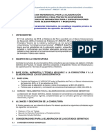 Informacion Elab Estudio Definitivo Pmesut 22.04.19