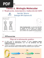 BIOLOGI KLK PDF