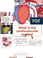 Cardiovascular System 1