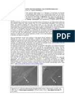 Diatomaceas PDF