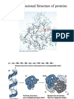 Three-Dimensional Structure of Proteins