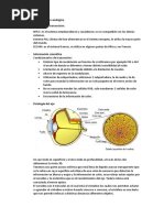 Sistemas de Televisión Analógica