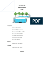 Proyecto Hidroponía Fase4