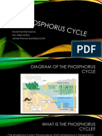 The Phosphorus Cycle