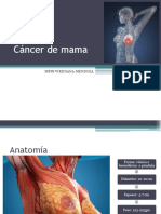 Generalidades de Cancer de Mama