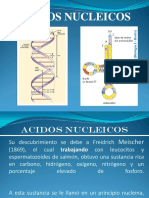 Acidos Nucleicos PDF