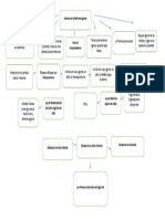 Mapa Conceptual