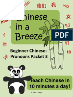 Chinese Pronouns Lesson Packet 3