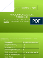 Ciclo Del Nitrógeno