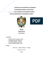 Informe 07 Minas