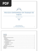 Proceso Enfermeria Trabajo de Parto