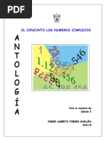 Cap 1 - Conjunto de N. Complejos PDF