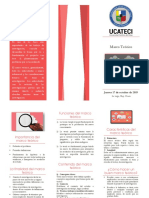 Brochure Marco Teórico