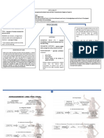 Revised Guidelines For Continuous Trial of Criminal Cases