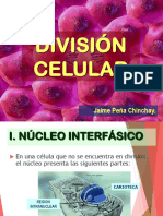 Division Celular