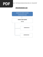 Organigrama Sso