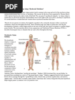 Myofascial Meridians Trigger Points Tend To Develop Along "Myofascial Meridians"