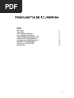 Fundamentos Acupuntura