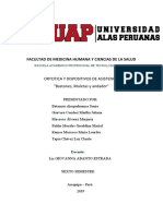 Seminario Bastones Andadores y Muletas PDF