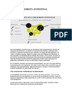 Microbiota Intestinal