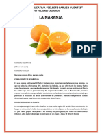 La Naranja