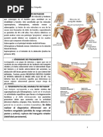 Patologia de Miembro Superior