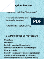 Kingdom Protista: - Sometimes Called The "Junk Drawer" - Contains Animal-Like, Plant-Like and