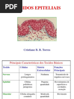 Tecidos Epiteliais