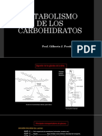 Metabolismo de Los Carbohidratos Hasta Antes de Krebs