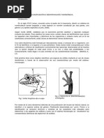 Informe Taxonomia William Mauricio Guate