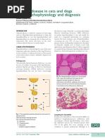 Thyroid Disease in Cats and Dogs Part I: Pathophysiology and Diagnosis Schuller 2006