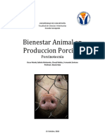 Bienestar Animal