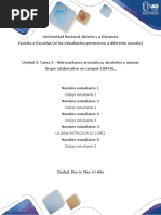 Anexo 2 Quimica Organida Ejercicio 1